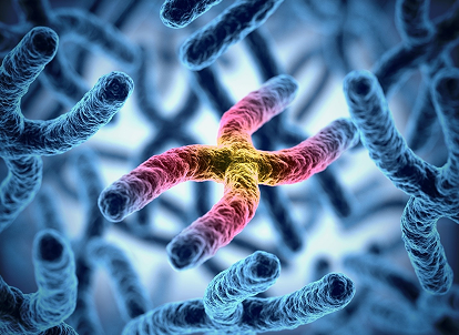 Whole Genome Sequencing